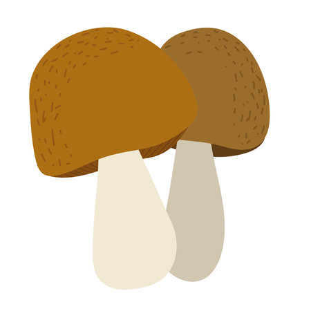 mushrooms nature iconのイラスト素材