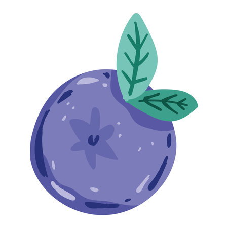 blueberry fruit iconのイラスト素材