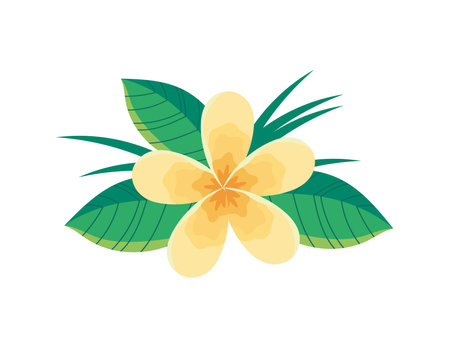 flower and leafのイラスト素材