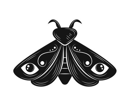 butterfly colorless esotericのイラスト素材
