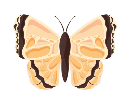 butterfly insect iconのイラスト素材