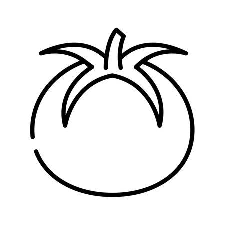 tomato vegetable foodのイラスト素材