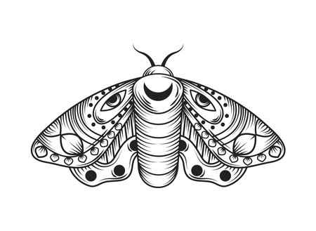 bug magic alchemyのイラスト素材