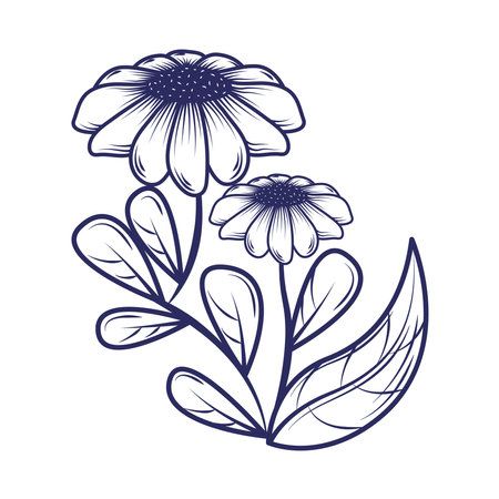 flowers leaves doodleのイラスト素材