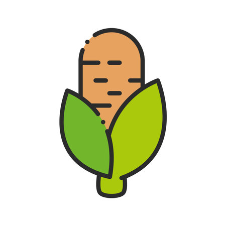 corn icon isolatedのイラスト素材