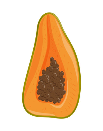 half papaya iconのイラスト素材