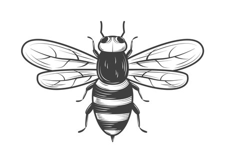 bee insect iconのイラスト素材