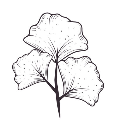 leaves nature and botanicalのイラスト素材