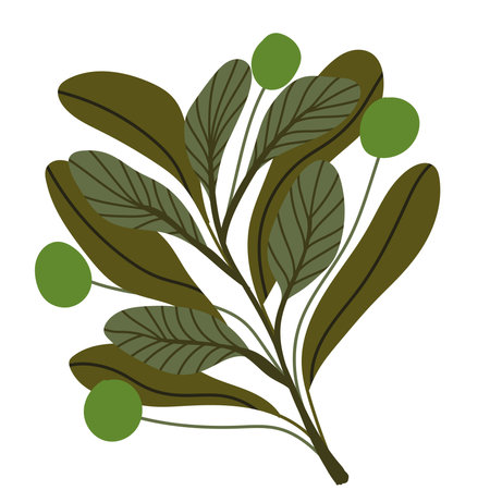 plant leaves iconのイラスト素材