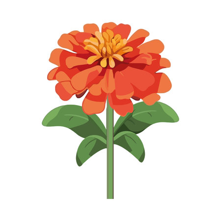 flower petals isolated on white backgroundのイラスト素材