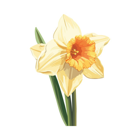 Yellow cute flowerのイラスト素材