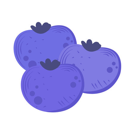 Fresh organic fruit blackberriesのイラスト素材