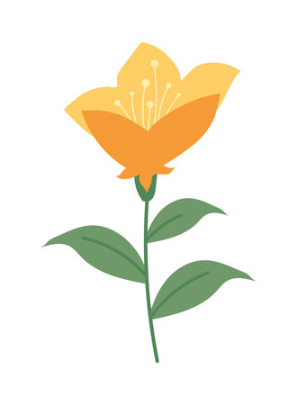 yellow Flower natureのイラスト素材