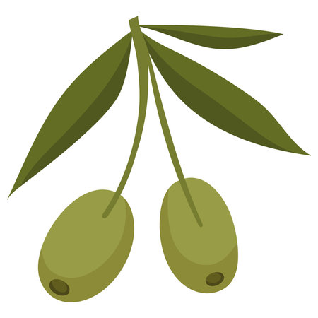 Healthy vegetarian olivesのイラスト素材