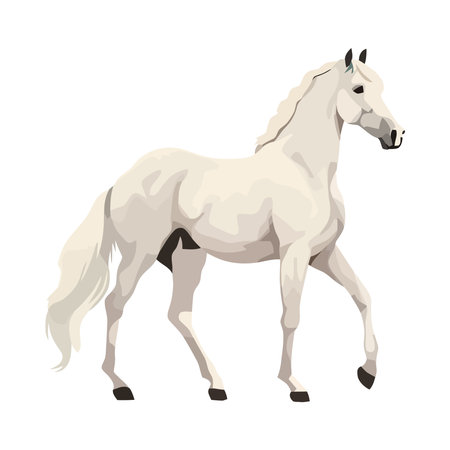 Running stallion animalのイラスト素材