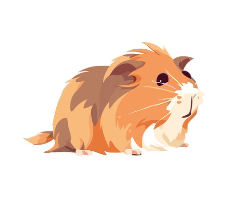 Small hamster animalのイラスト素材