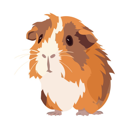 Fluffy cartoon hamster sit on isolated backgroundのイラスト素材