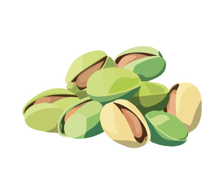 Fresh organic fruit and pistachio snackのイラスト素材