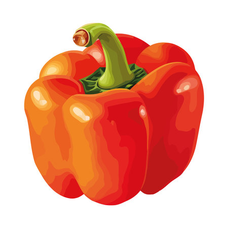 Pepper Fresh vegetable, ripe for cookingのイラスト素材