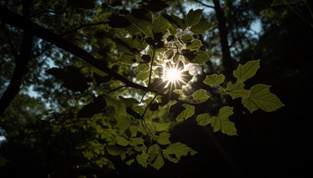 Autumn forest glows with vibrant colors under backlit sunlight generated by artificial intelligenceの素材