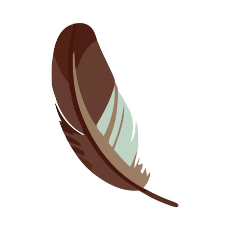 Feather symbolizes fragility of nature beautyのイラスト素材