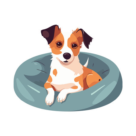 Cute purebred terrier puppy sitting on lapのイラスト素材
