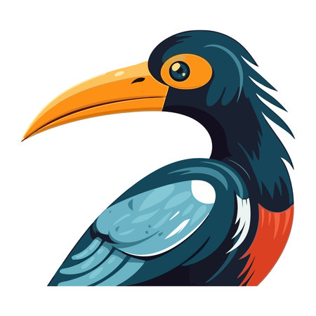 tropical bird colored feathersのイラスト素材