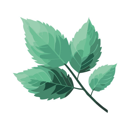 Fresh green leaves on tree branchのイラスト素材