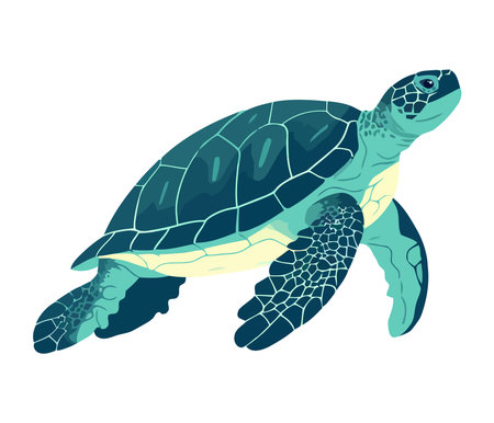 Slow turtle crawls through tropical blue watersのイラスト素材