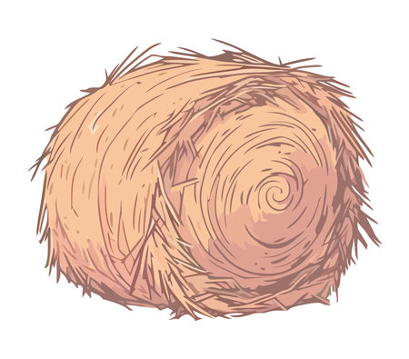 Vector illustration of lot of straw and hayのイラスト素材