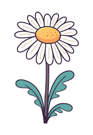 Fresh chamomile blossom and leafのイラスト素材