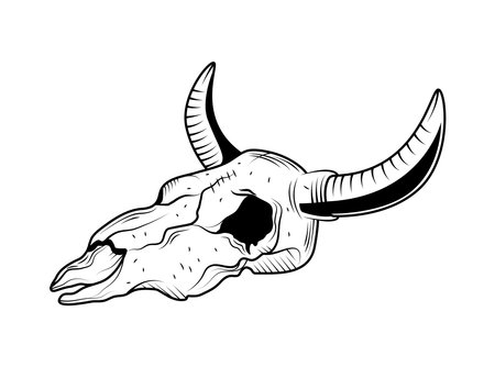 western bull skullのイラスト素材
