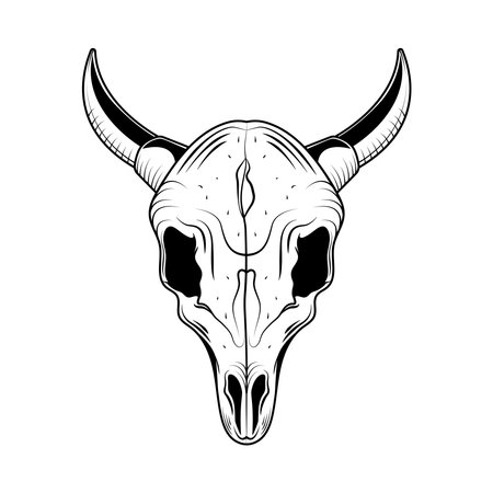 black cow skullのイラスト素材