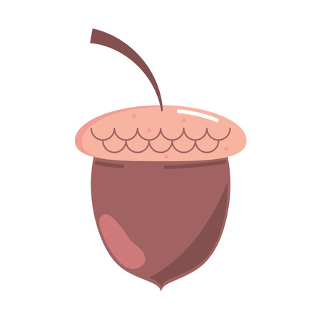 acorn autumn iconのイラスト素材