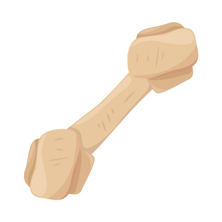 pet rubber toy boneのイラスト素材