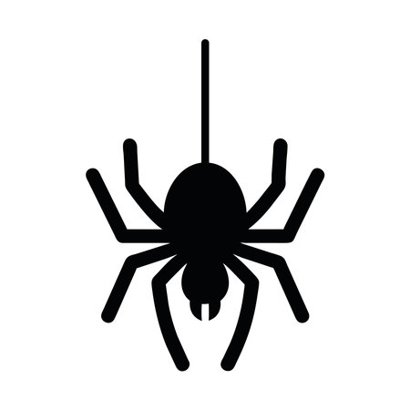 halloween spider animalのイラスト素材