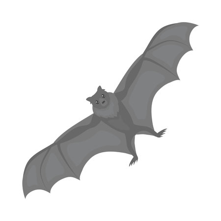 gray bat illustrationのイラスト素材
