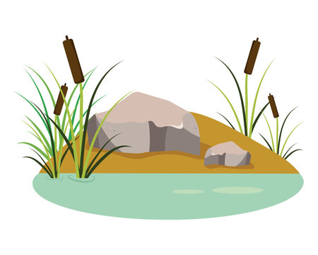 wetland ecology designのイラスト素材