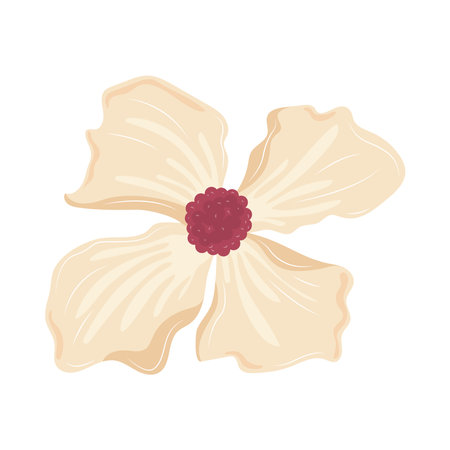 beauty flower with white petalsのイラスト素材