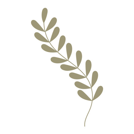 Boho aesthetic botanical minimalistのイラスト素材