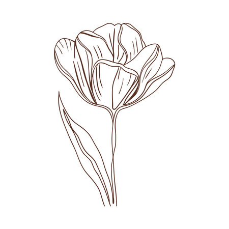 Boho Flower Graceful Tulip Iconのイラスト素材