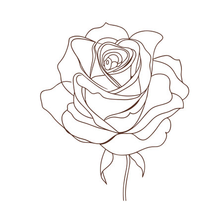 Boho Flower Elegant Rose Iconのイラスト素材