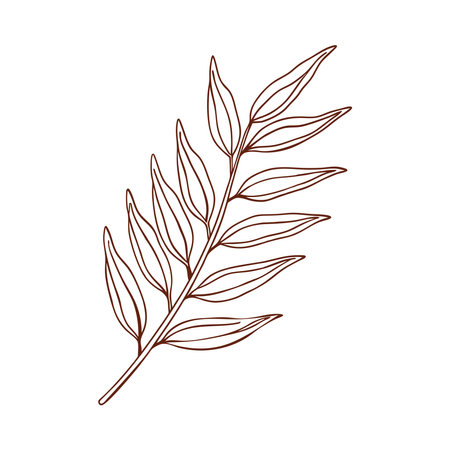 Boho Branch Plant Sketch Iconのイラスト素材