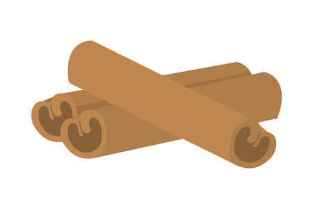 indian spice Cinnamon Stick Naturalのイラスト素材
