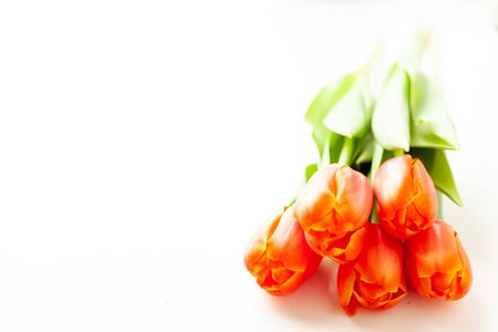 Bouquet of tulip lush lava. Bright spring orange flowers.の写真素材