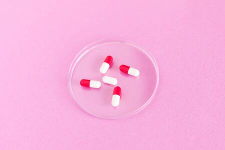 petri dish with pills on a colored background