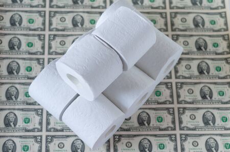 toilet paper rolls dollars on a light background, toilet paper and dollars, concept of cheap moneyの写真素材