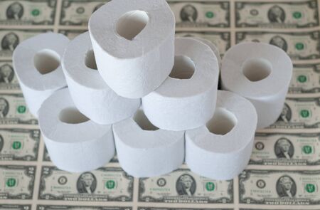 toilet paper rolls dollars on a light background, toilet paper and dollars, concept of cheap money