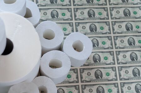toilet paper rolls dollars on a light backgroundの写真素材
