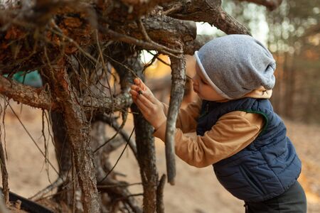 child plays with tree roots, outdoor recreation, nature studyの写真素材